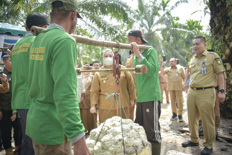 Pasca Banjir, Pasokan Bokar ke Pabrik Pengolahan Menurun Drastis