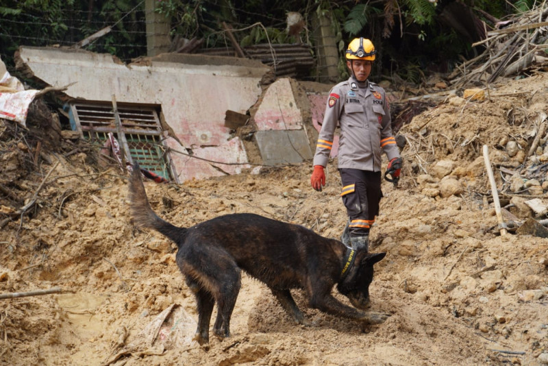 Tim K-9 Polri Lacak Korban Bencana Banjir dan Longsor di Tapteng dan Sibolga