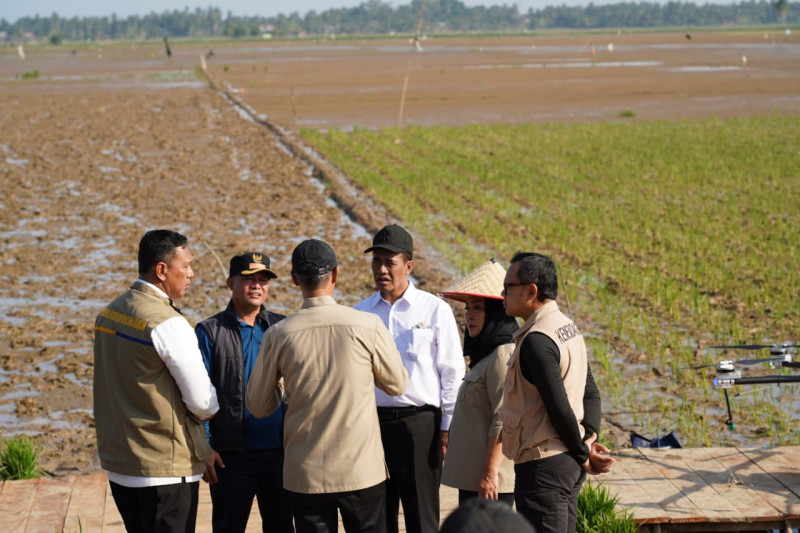 Mentan dan Ketua Komisi IV RI ke Aceh Tinjau Upaya Pemulihan Pertanian