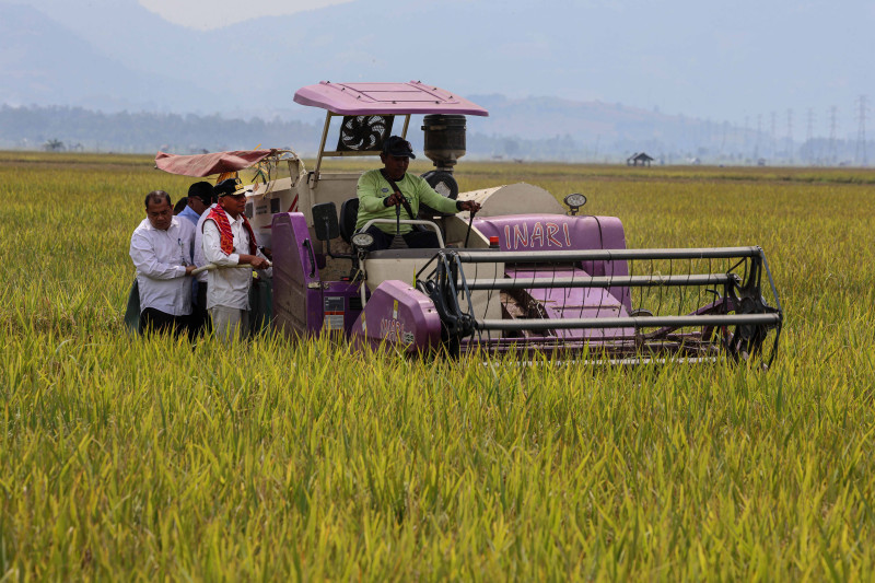 Panen Raya Padi di Karo, Wagub Surya Pastikan Keberpihakan Pemerintah kepada Petani