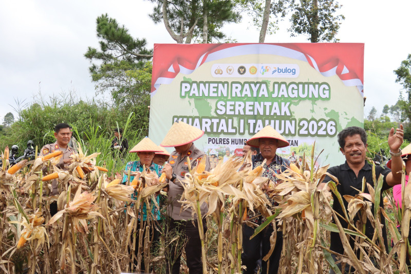 Polres Humbahas Bersama Petani Gelar Panen Raya Jagung Kuartal I 2026 Serentak