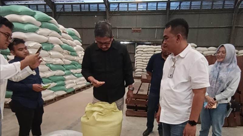 Bulog Kembali Bersiap Serap Gabah dan Jagung Hasil Panen Petani
