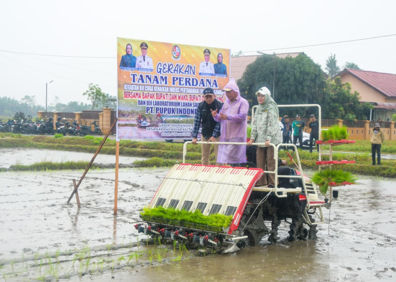 Penanaman Uji Coba IP 300, Target 1 Ha Hasilkan 9 Ton Bukan Hal Mustahil