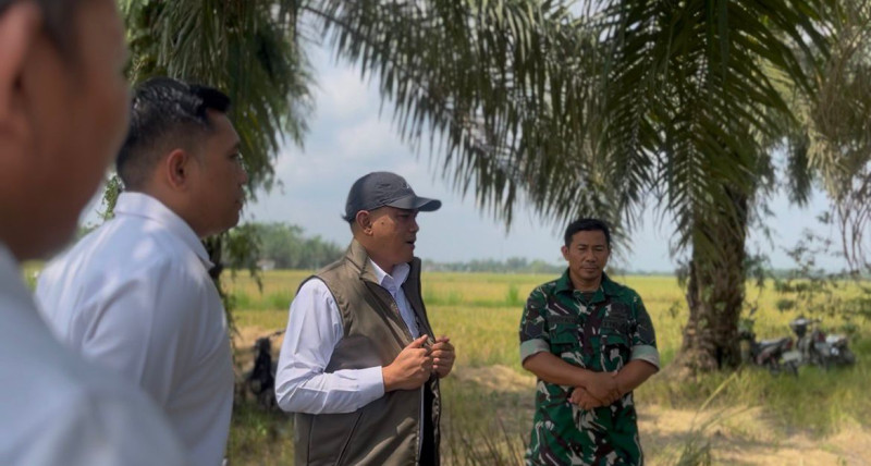 Bulog Tembus 3 Juta Ton Serapan Gabah-Beras Petani, Rekor Baru Penguatan Cadangan Pangan Nasional