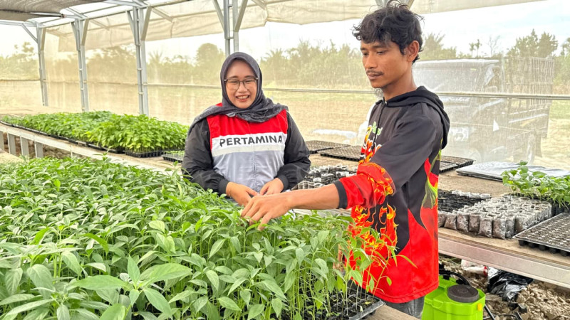 Harapan yang Disemai dari Pohon Cabai: Kisah Abdul Rozzaq, Kepala Keluarga Penyintas Banjir Sumatra