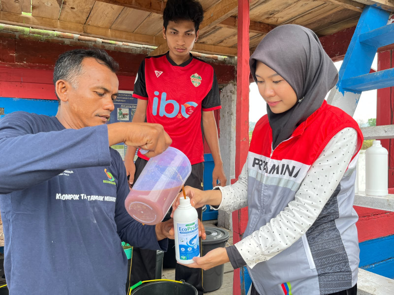 Pertamina Patra Niaga Regional Sumbagut Menjadi Pionir Probiotik MOL di Lhokseumawe